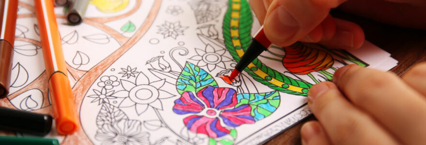 livre de coloriage pour adulte